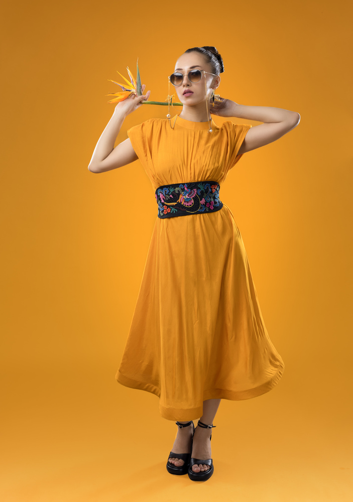 Kyoto Sunshine Dress